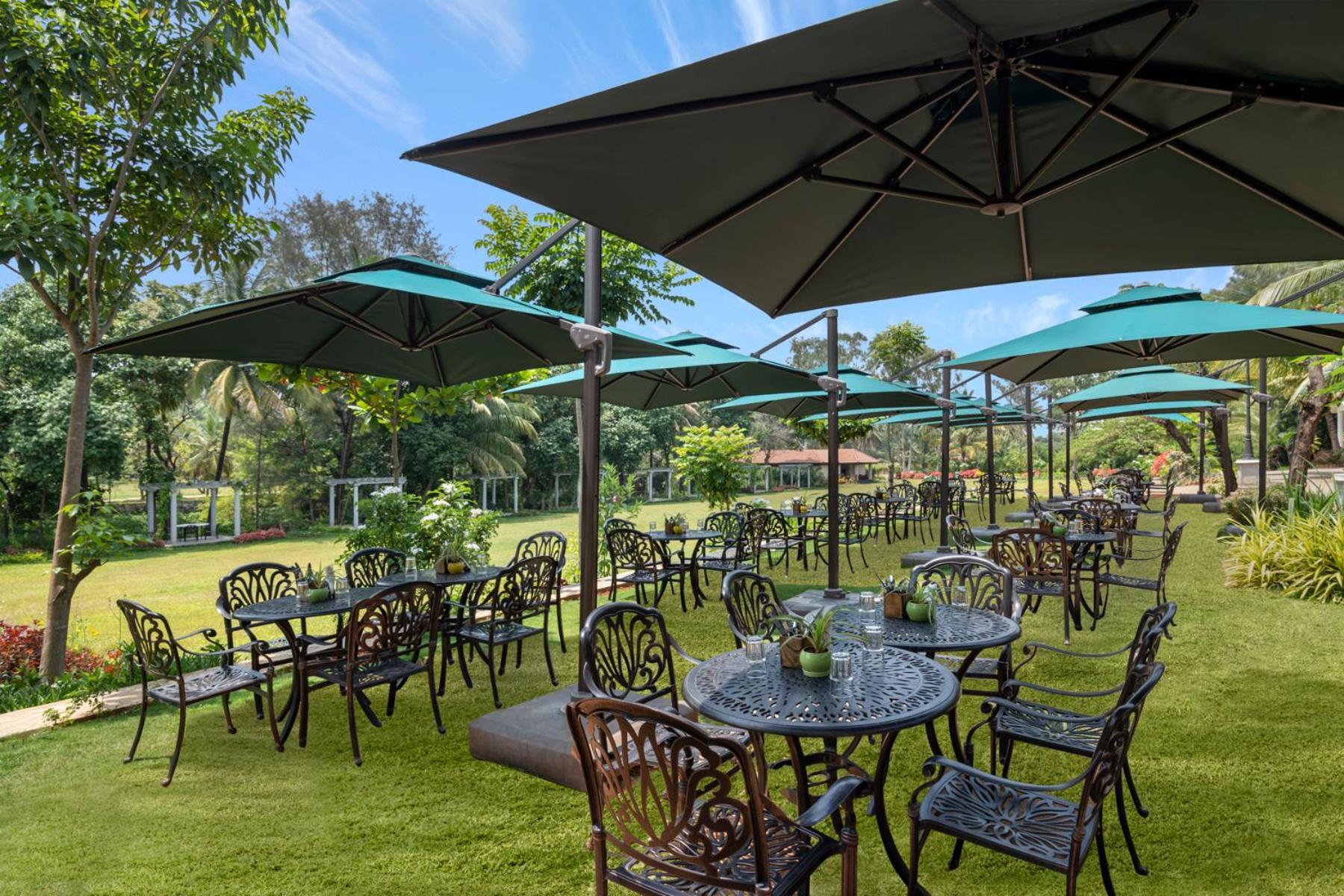 Big Banyan Vineyard & Farm stay