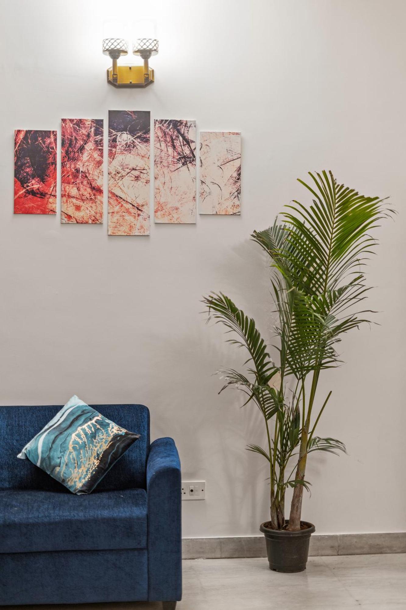 Palm Serenity