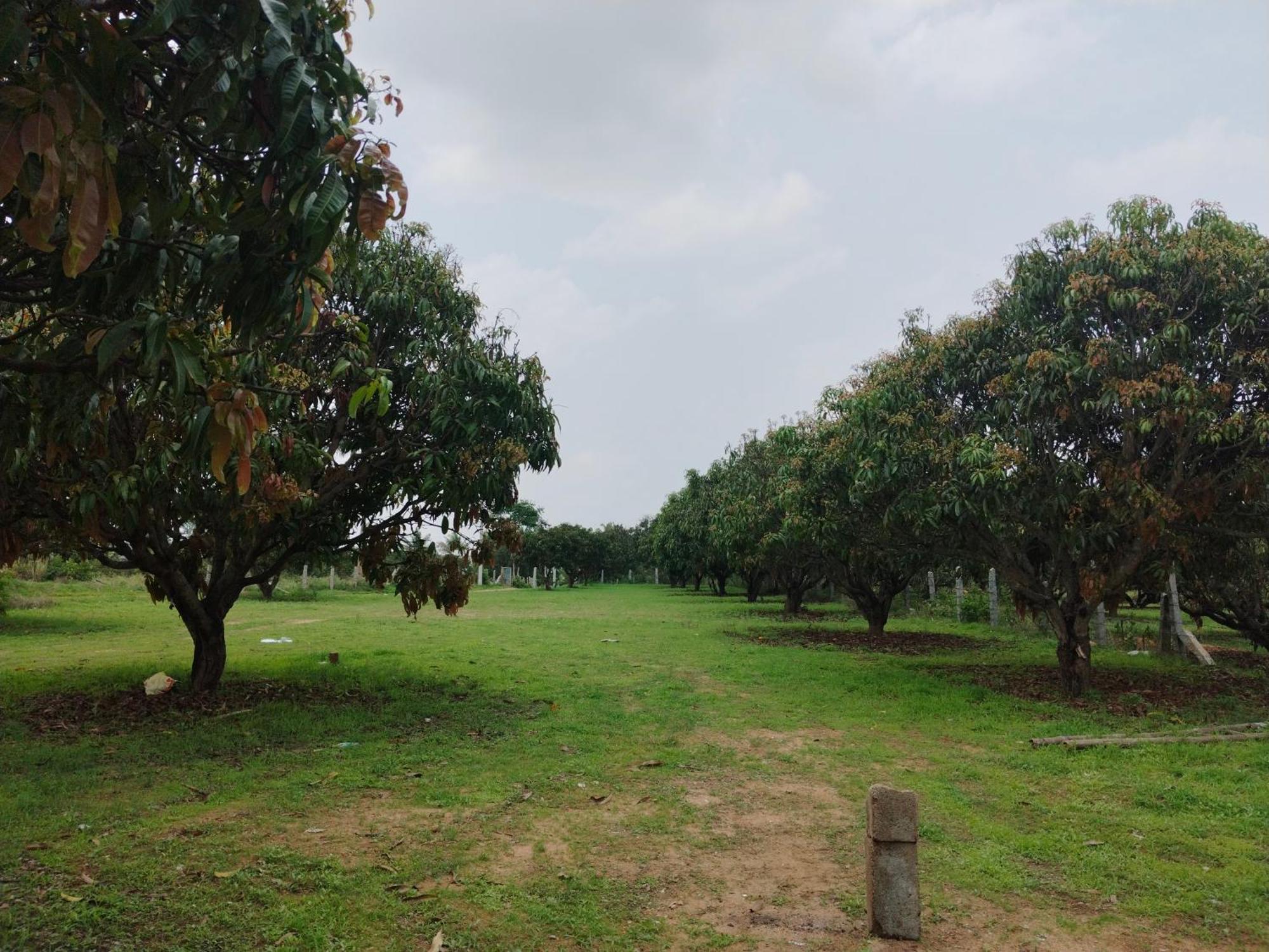 Mangonest Farmstay * Bangalore
