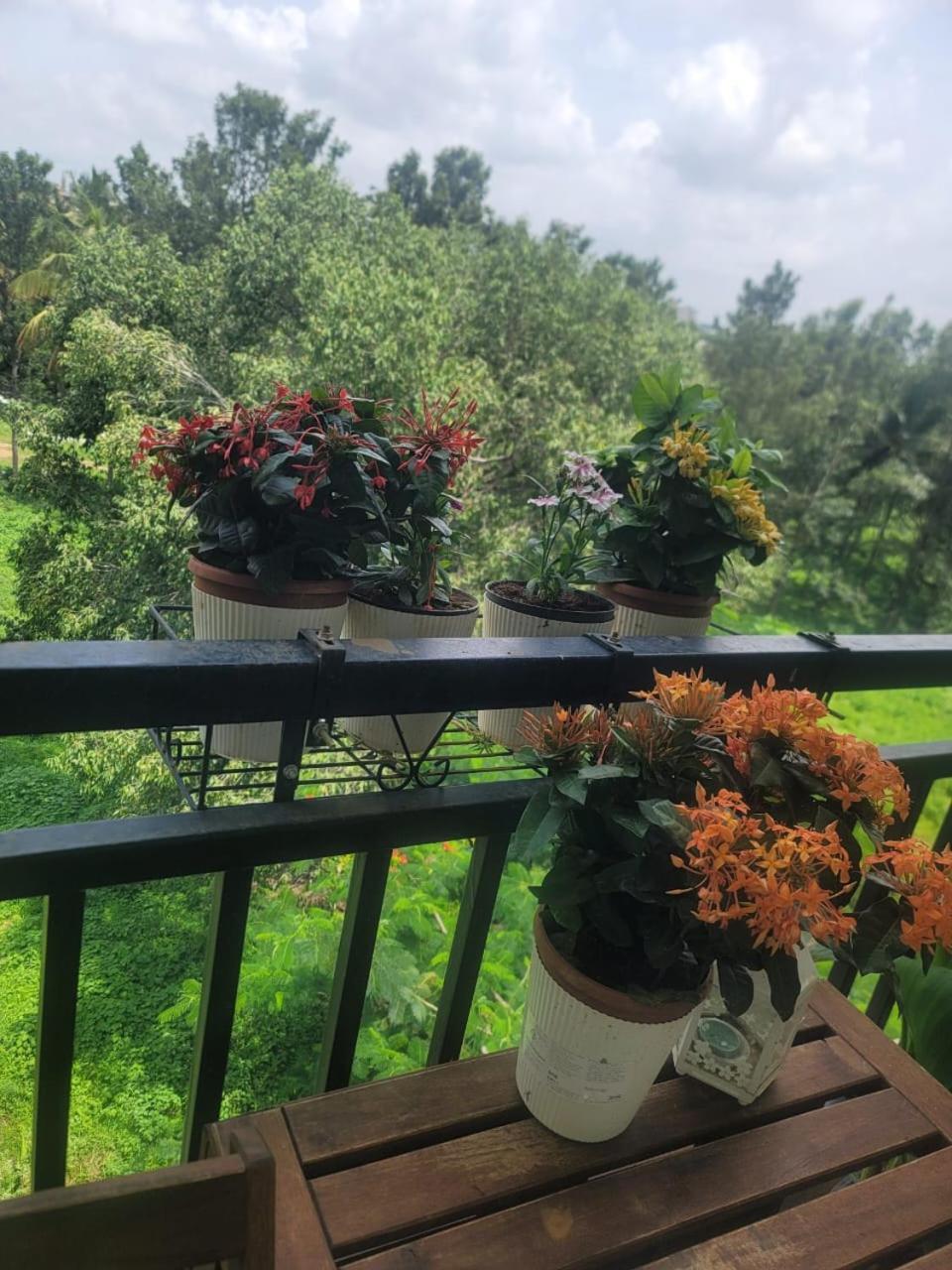 Serene Homestay *