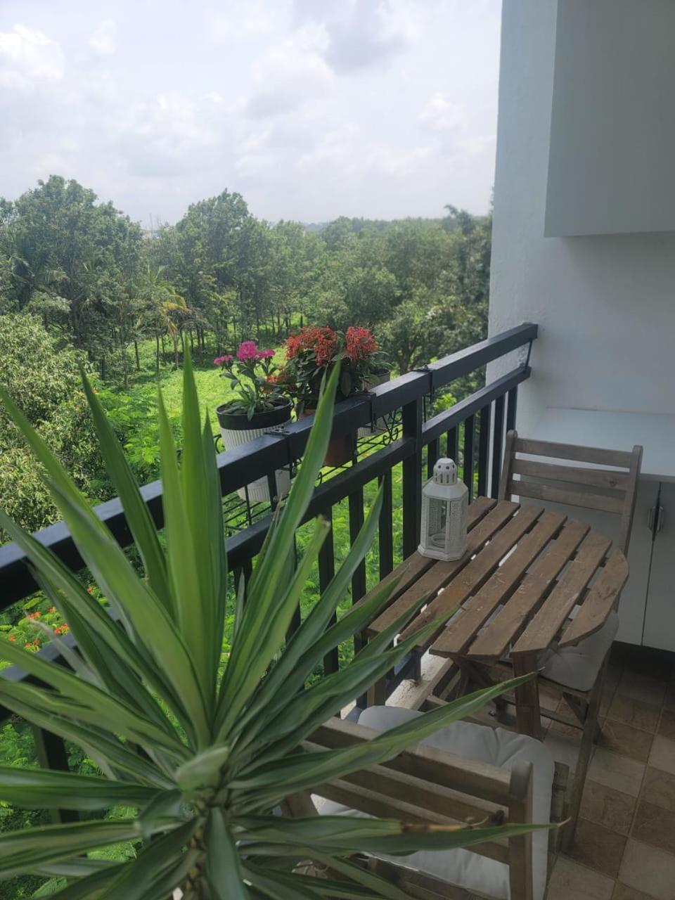 Serene Hospedagem domiciliar
