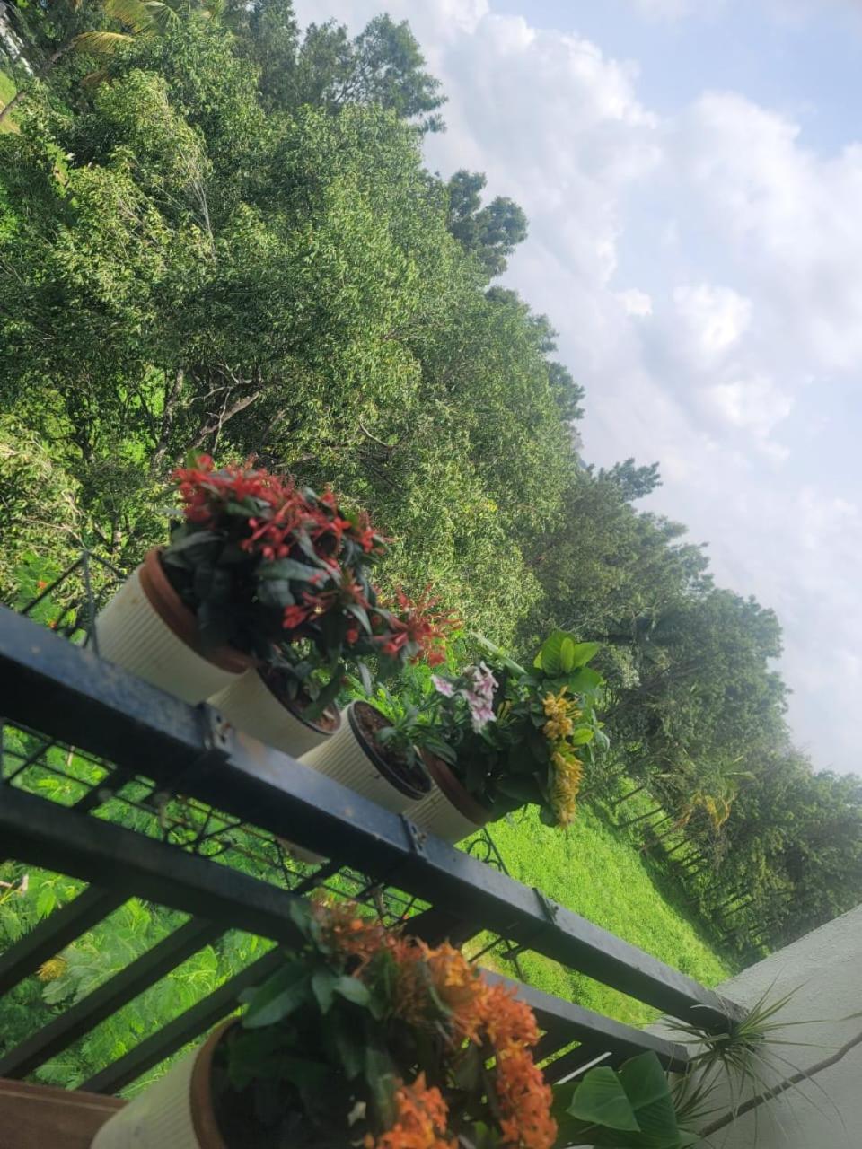 Serene Homestay Bangalore