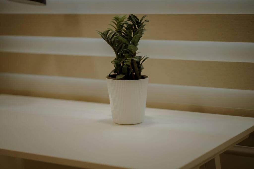 The Boho, Luxe 3bhk Jayanagar -great Location * Bangalore