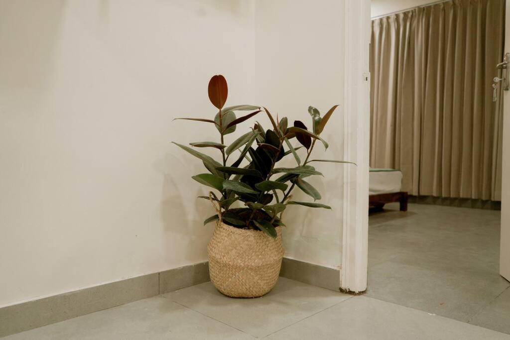 The Boho, Luxe 3bhk Jayanagar -great Location Apartment