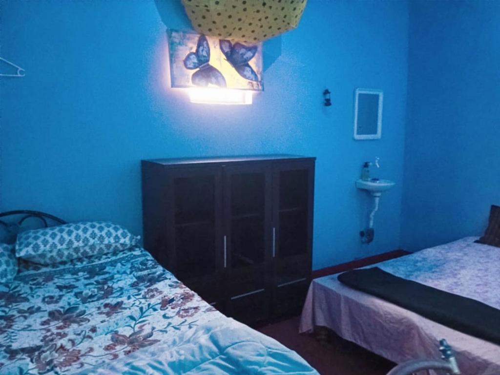 Grevillea Farm stay