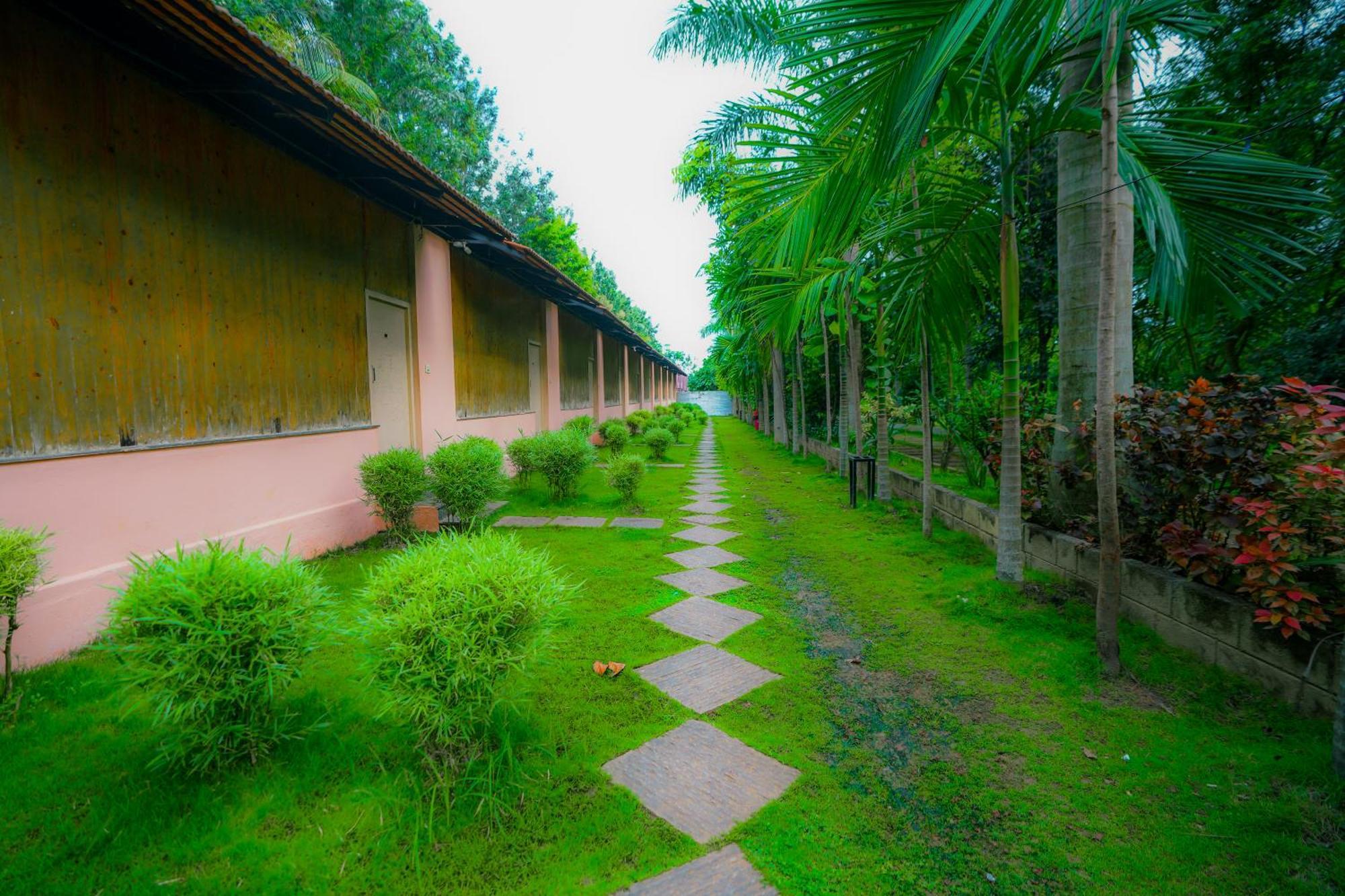 Campsite Palm Bangalore