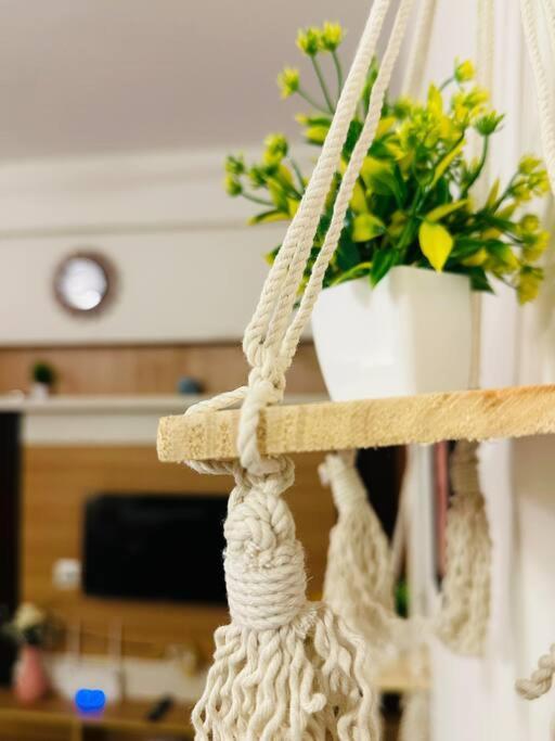 Apartment The Contessa, Hsr Cozy Couple Friendly 1bhk Flat Bangalore