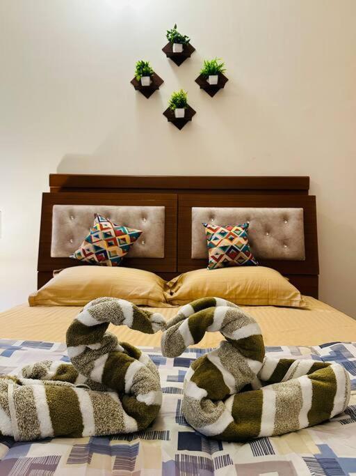 Apartment The Contessa, Hsr Cozy Couple Friendly 1bhk Flat Bangalore