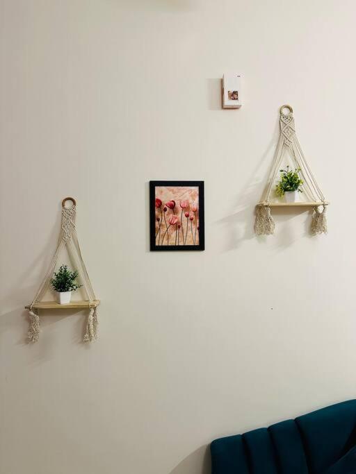 The Contessa, Hsr Cozy Couple Friendly 1bhk Flat Apartment Bangalore