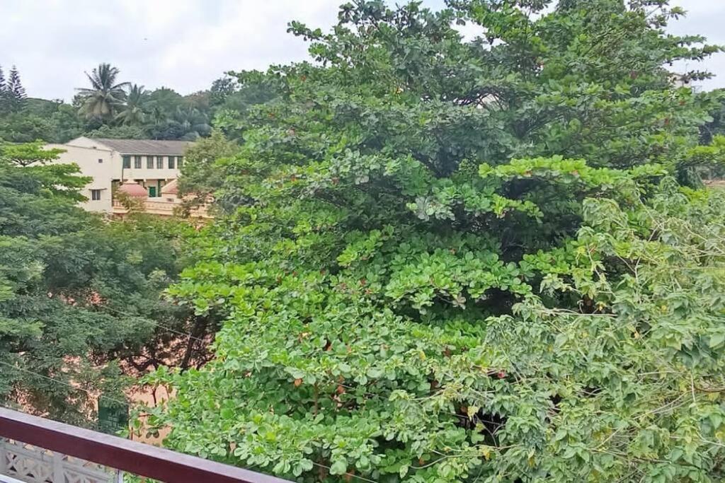 Apartment Guest Luxury Bangalore