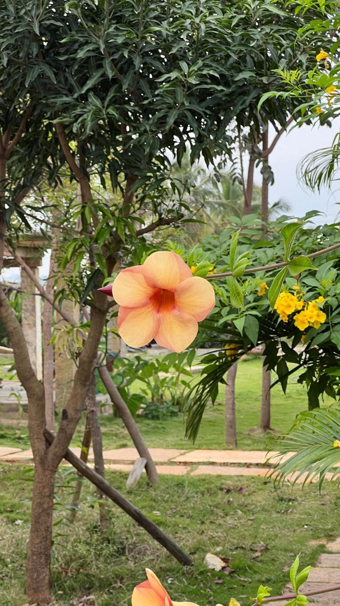 Holiday home The Courtyard Bendakaluru By 8055