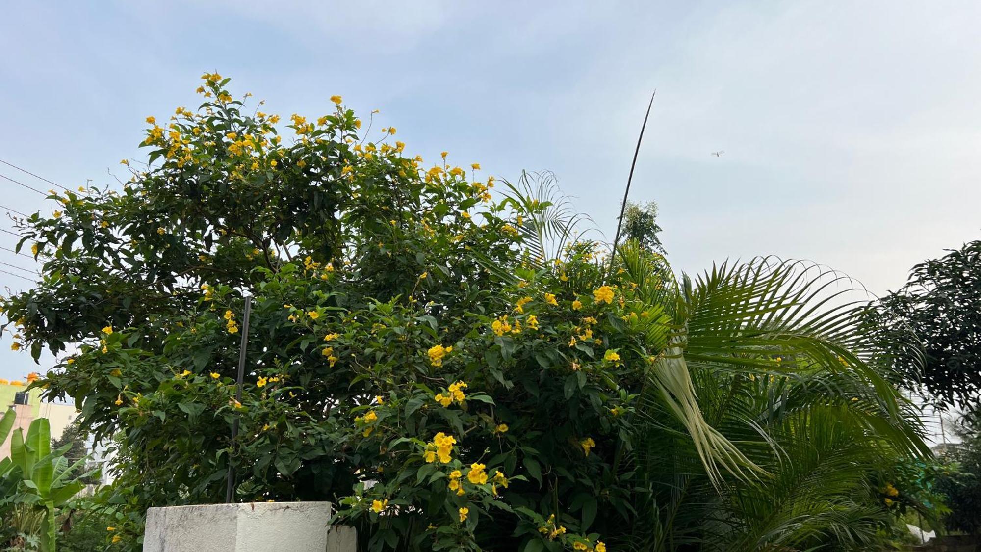 The Courtyard Bendakaluru By 8055 Casa de férias Bangalore