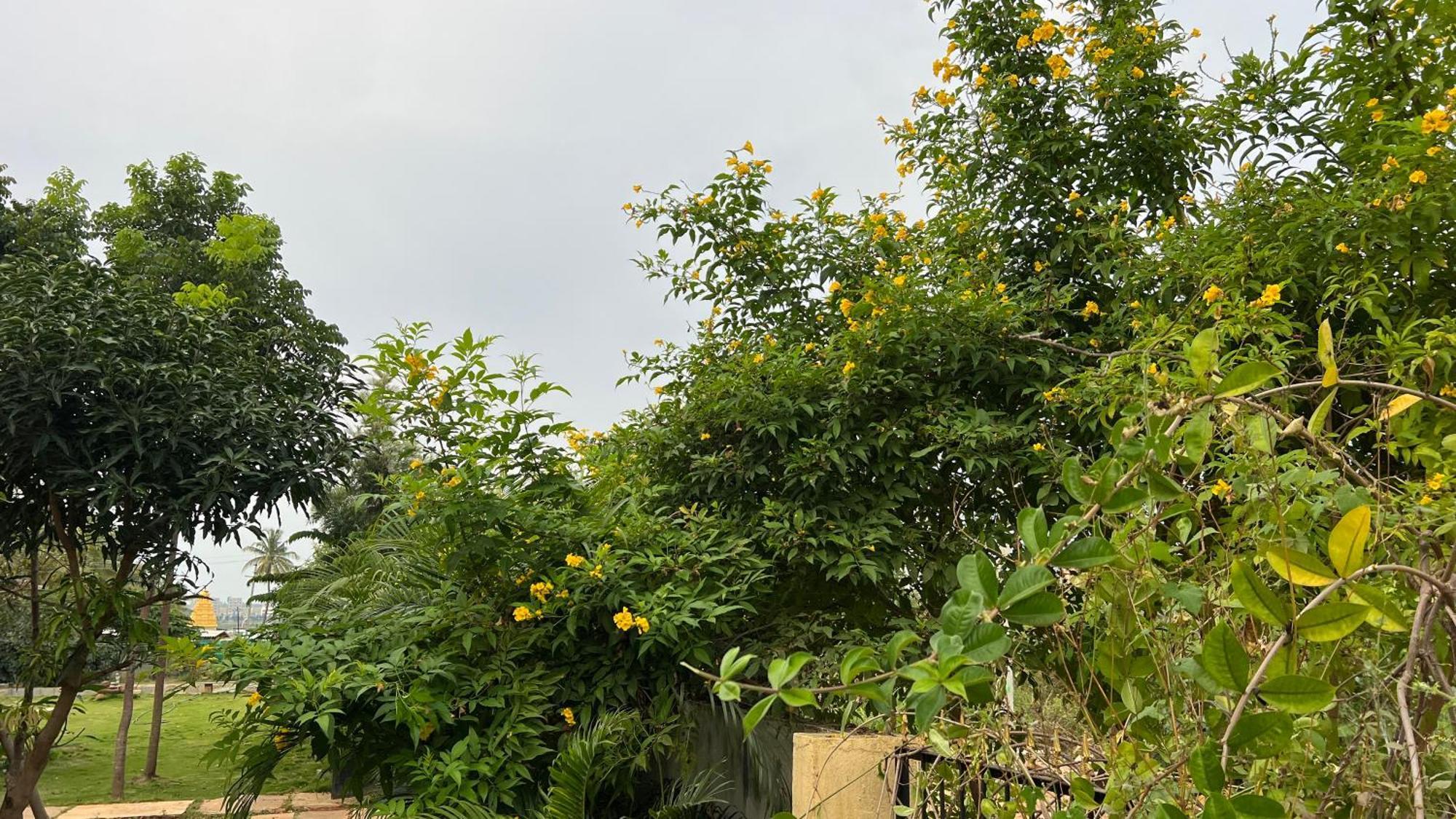 The Courtyard Bendakaluru By 8055 Casa de férias