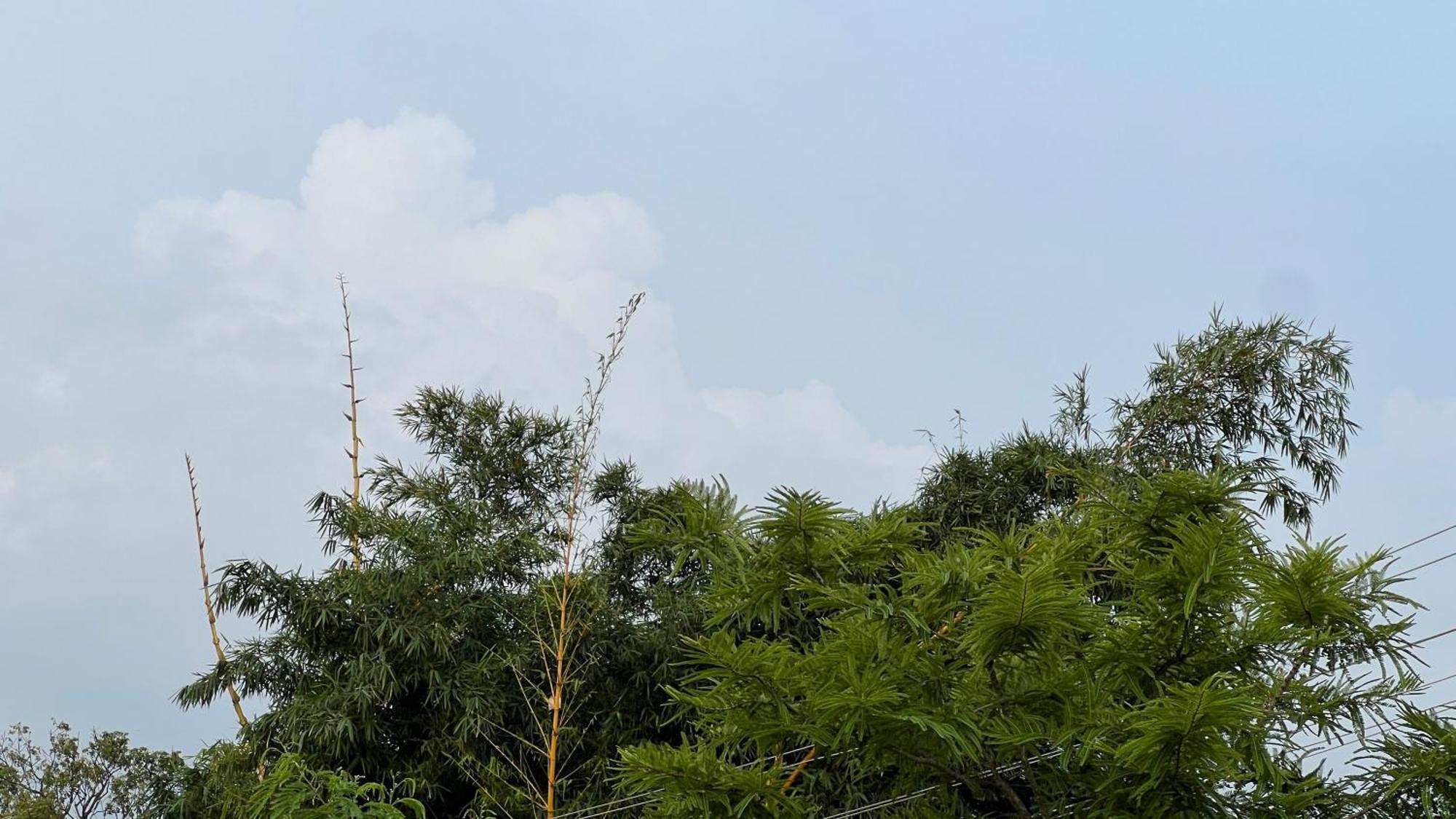 Holiday home The Courtyard Bendakaluru By 8055 Bangalore