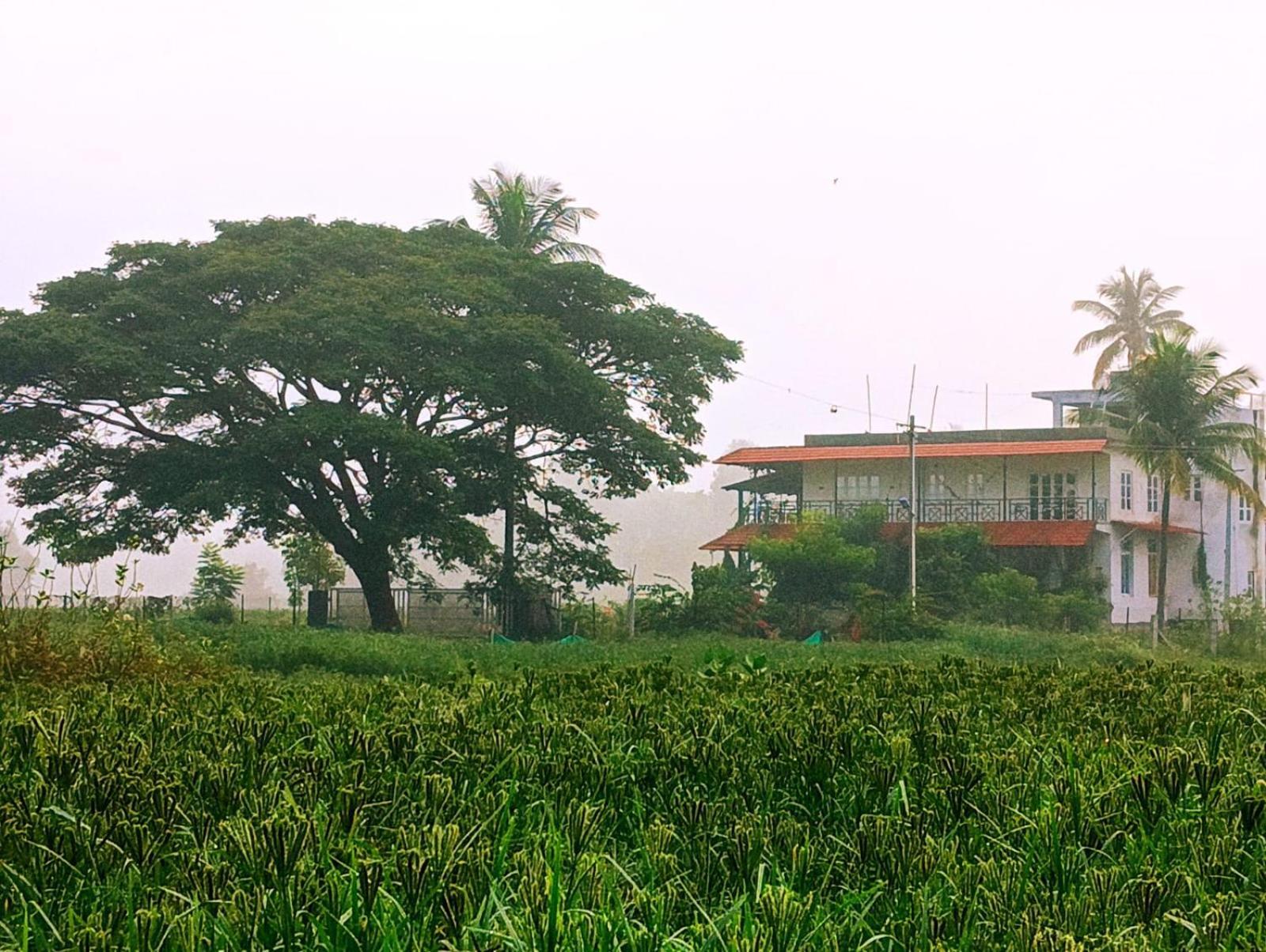 Armann - A Luxury Getaway With Beautiful Views Of Nandi Hills *
