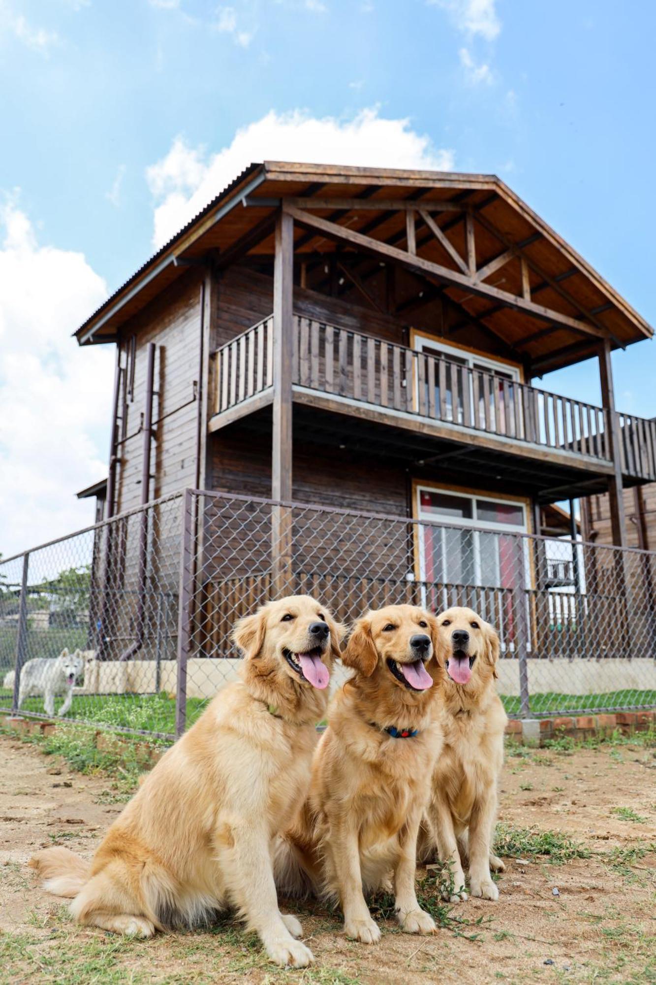 Therpup Resort Bangalore