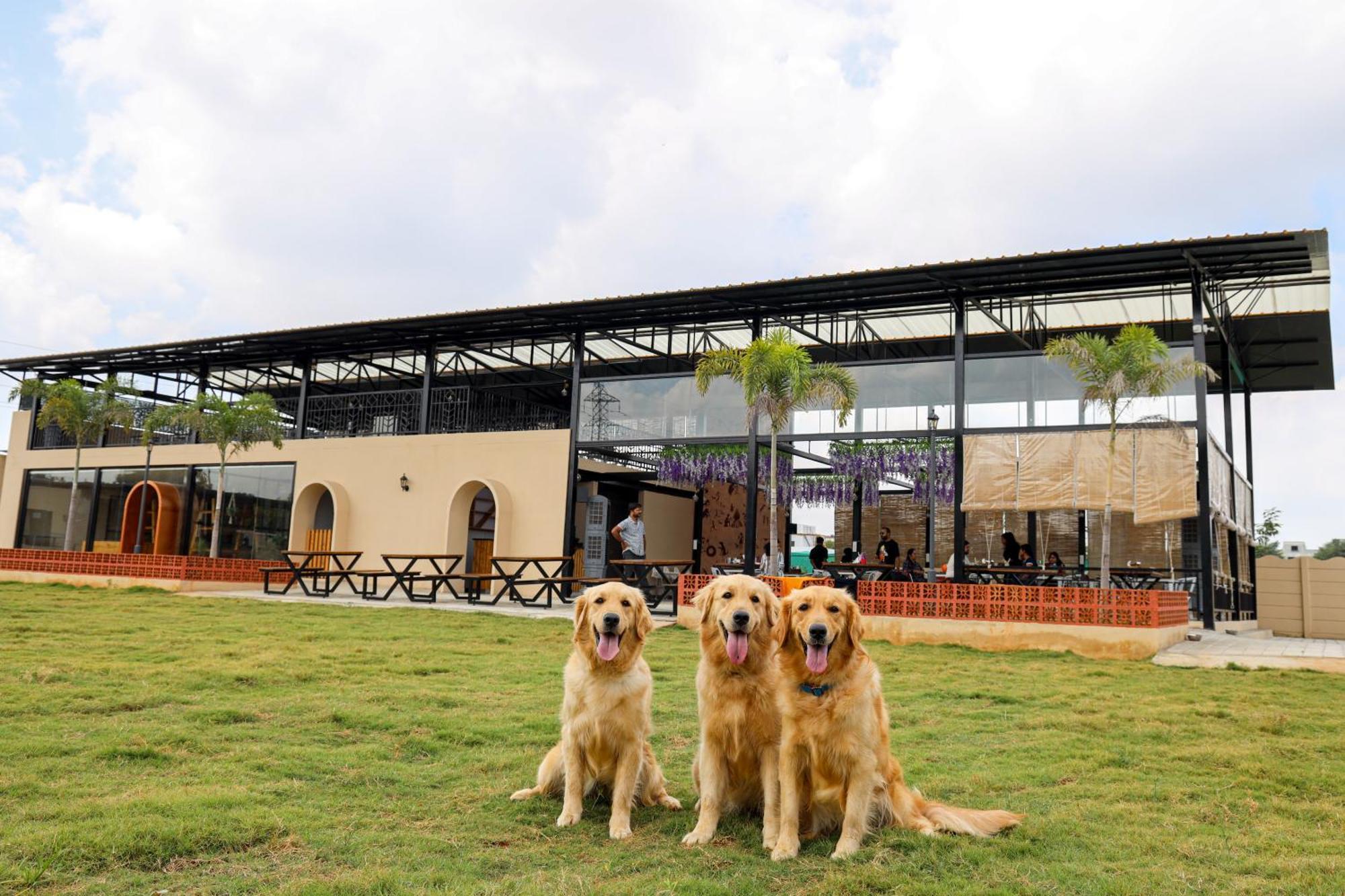 Therpup Resort