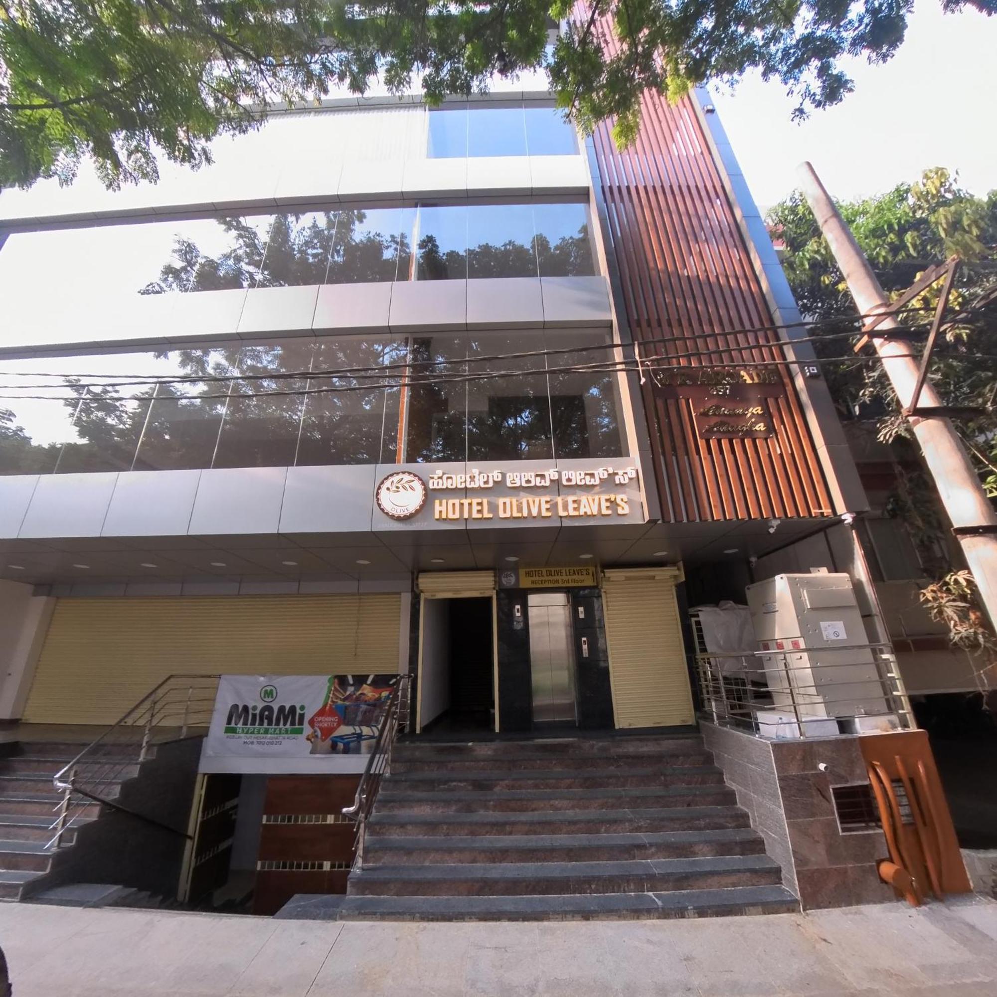 Olive Leave's Bangalore