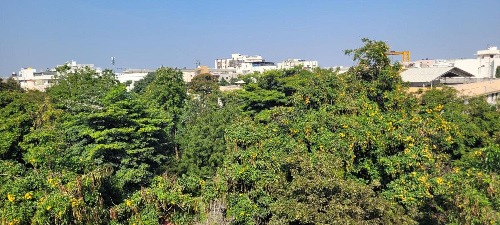 Hrbr Enclave Apartment