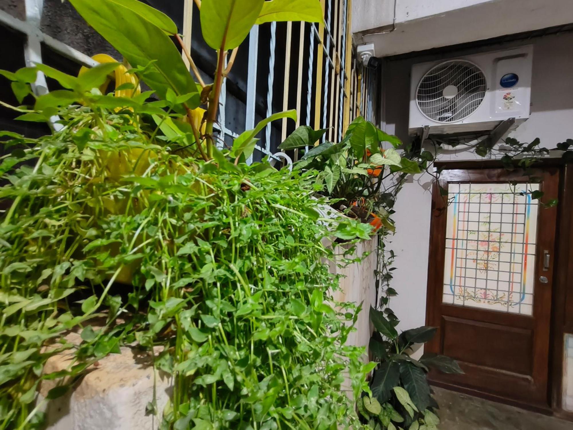 The Cave Homestay *