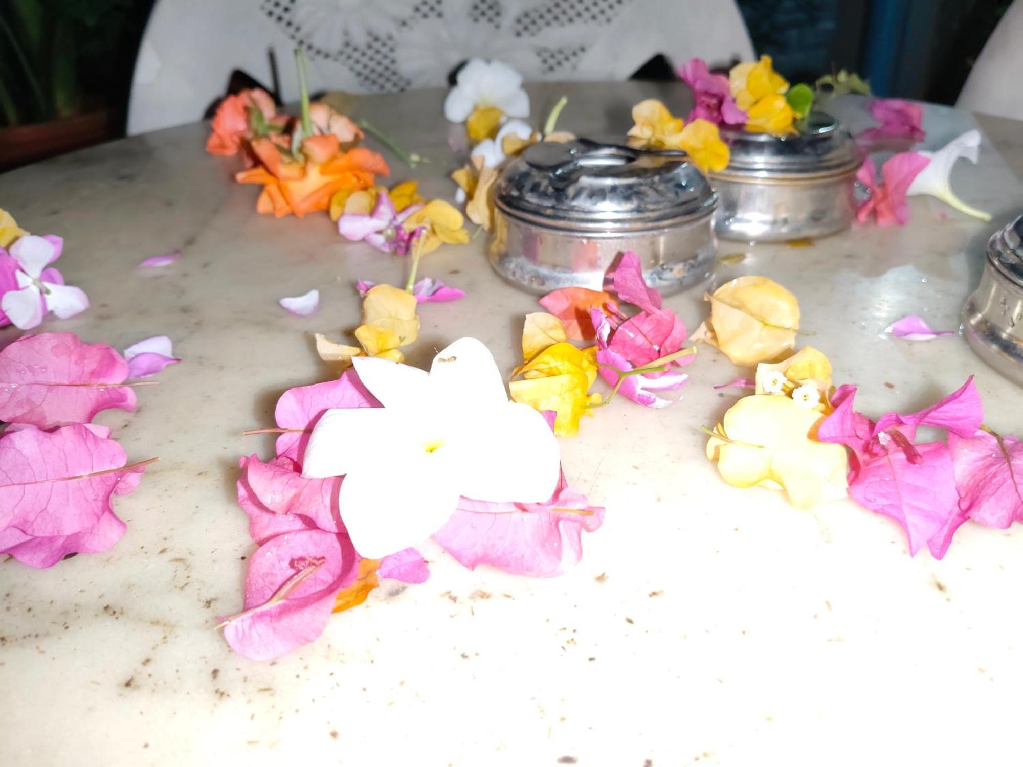 Homestay The Cave Bangalore