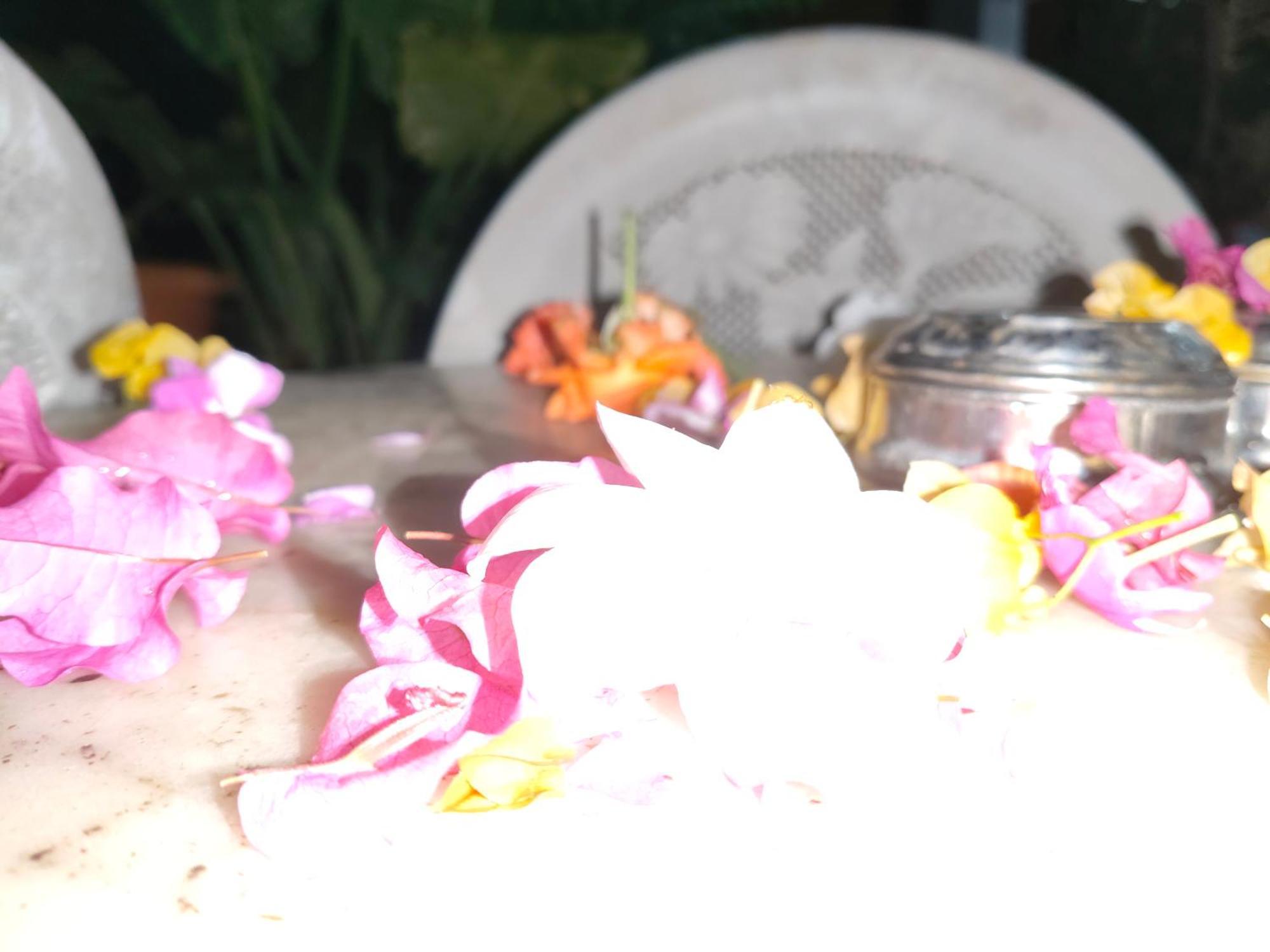 The Cave Homestay
