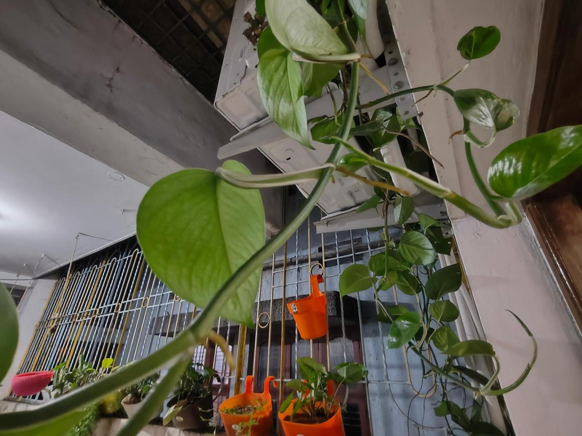 The Cave Homestay Bangalore