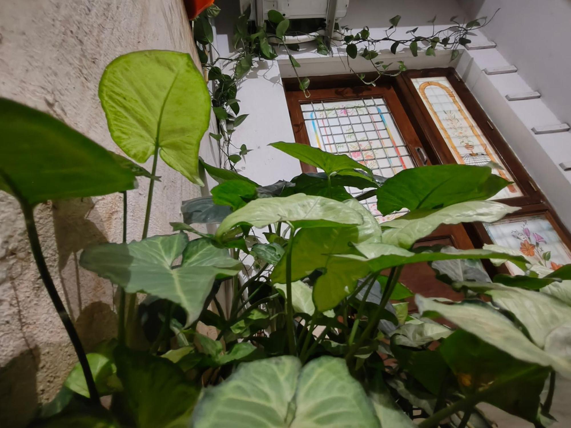Homestay The Cave Bangalore