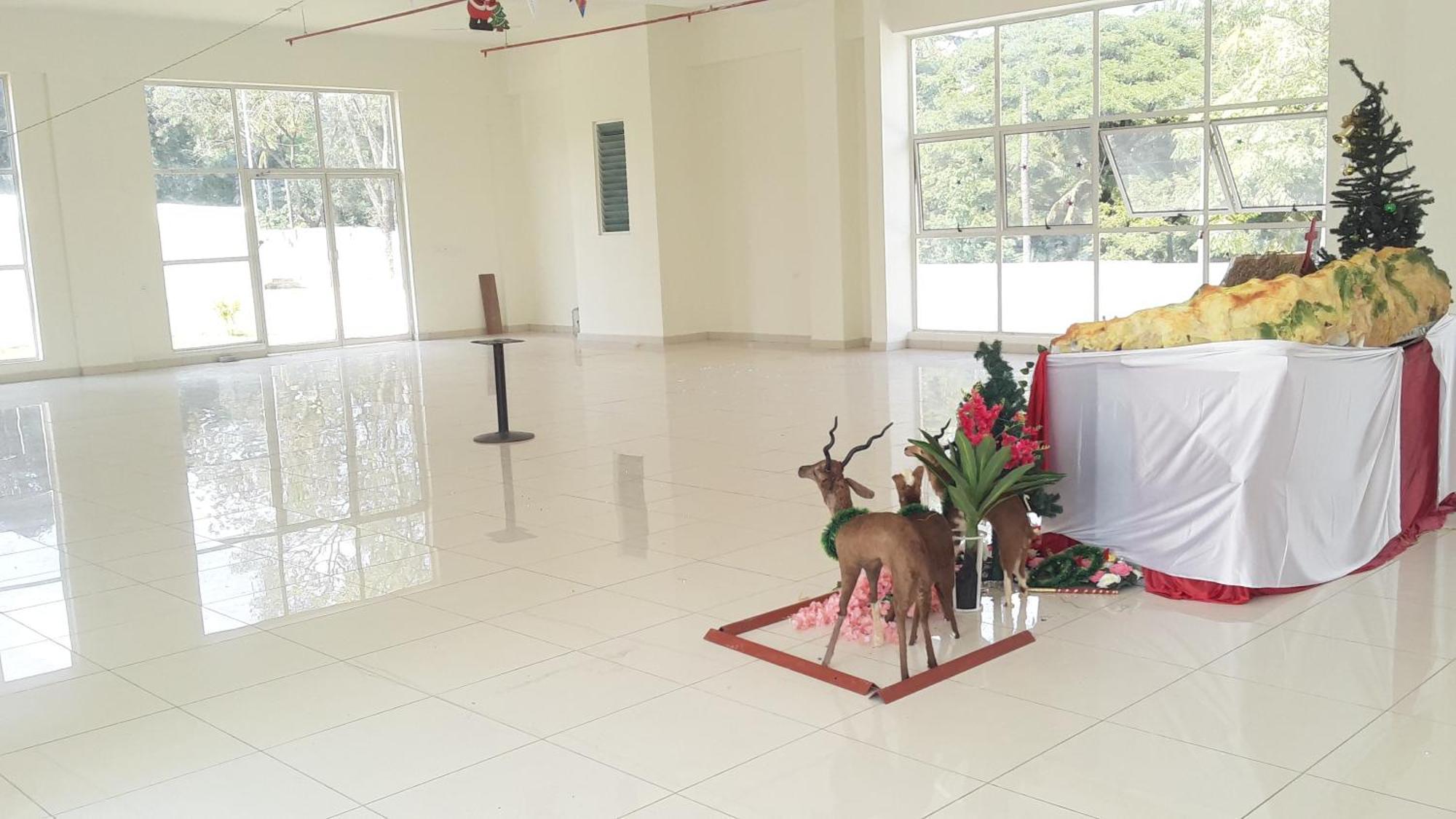 Happy Guest