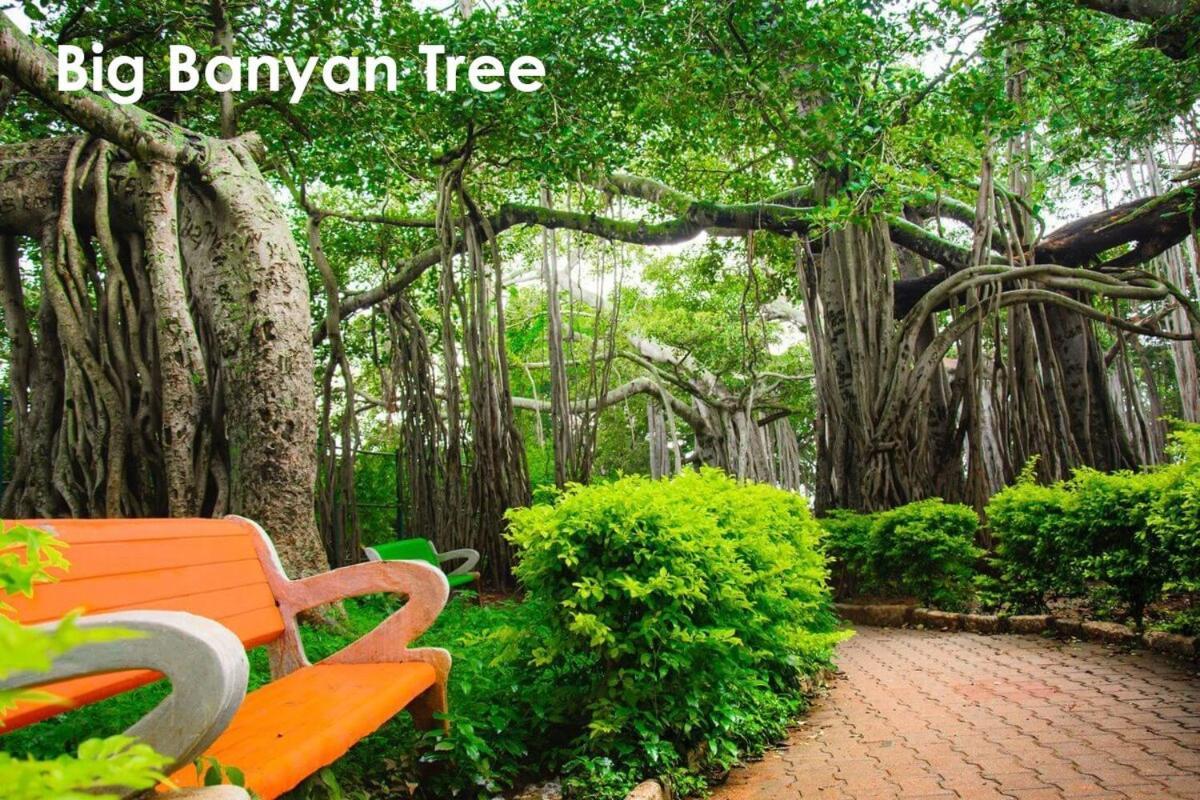 Cozy Urban Retreat Private Villa Bangalore
