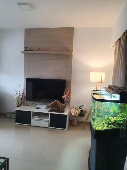 Serene 2 Apartment