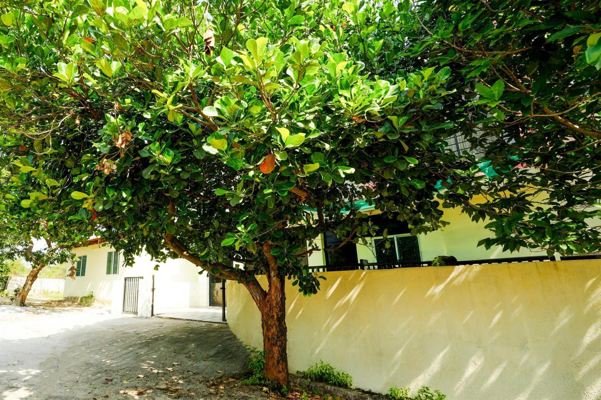Apartment Spot On Wonder Homestay