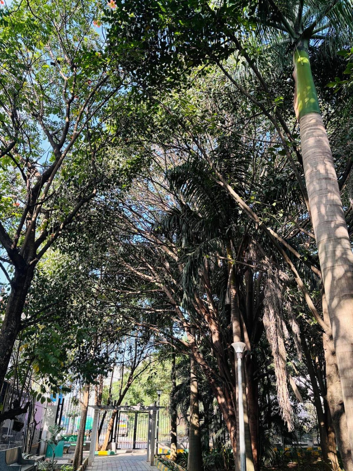 Apartment 1 Bhk Next To The Beautiful Park - 502
