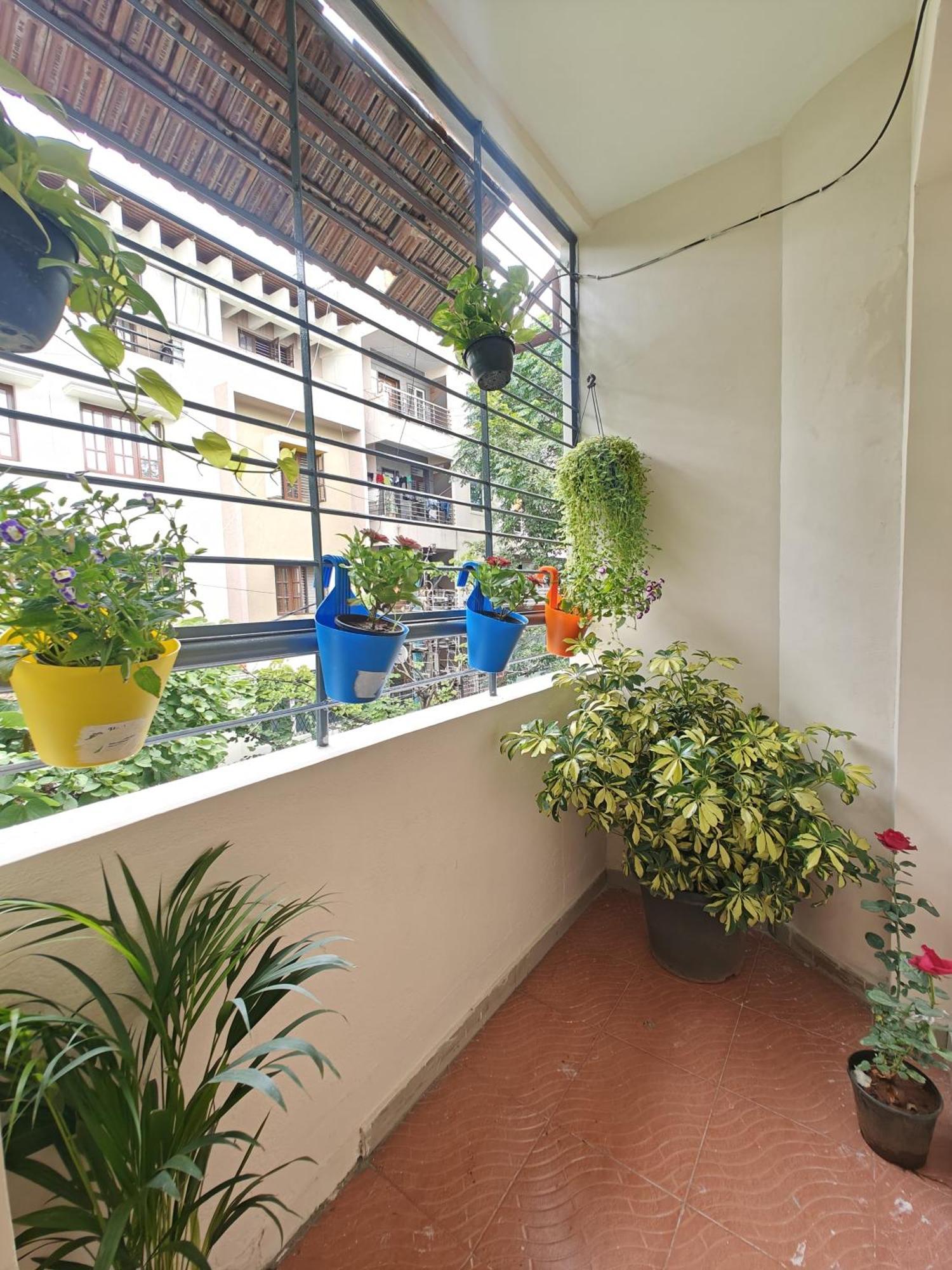 Cozy 1bhk Hsr Apartment Bangalore