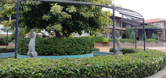 Resort Nirantara & Kammasandra