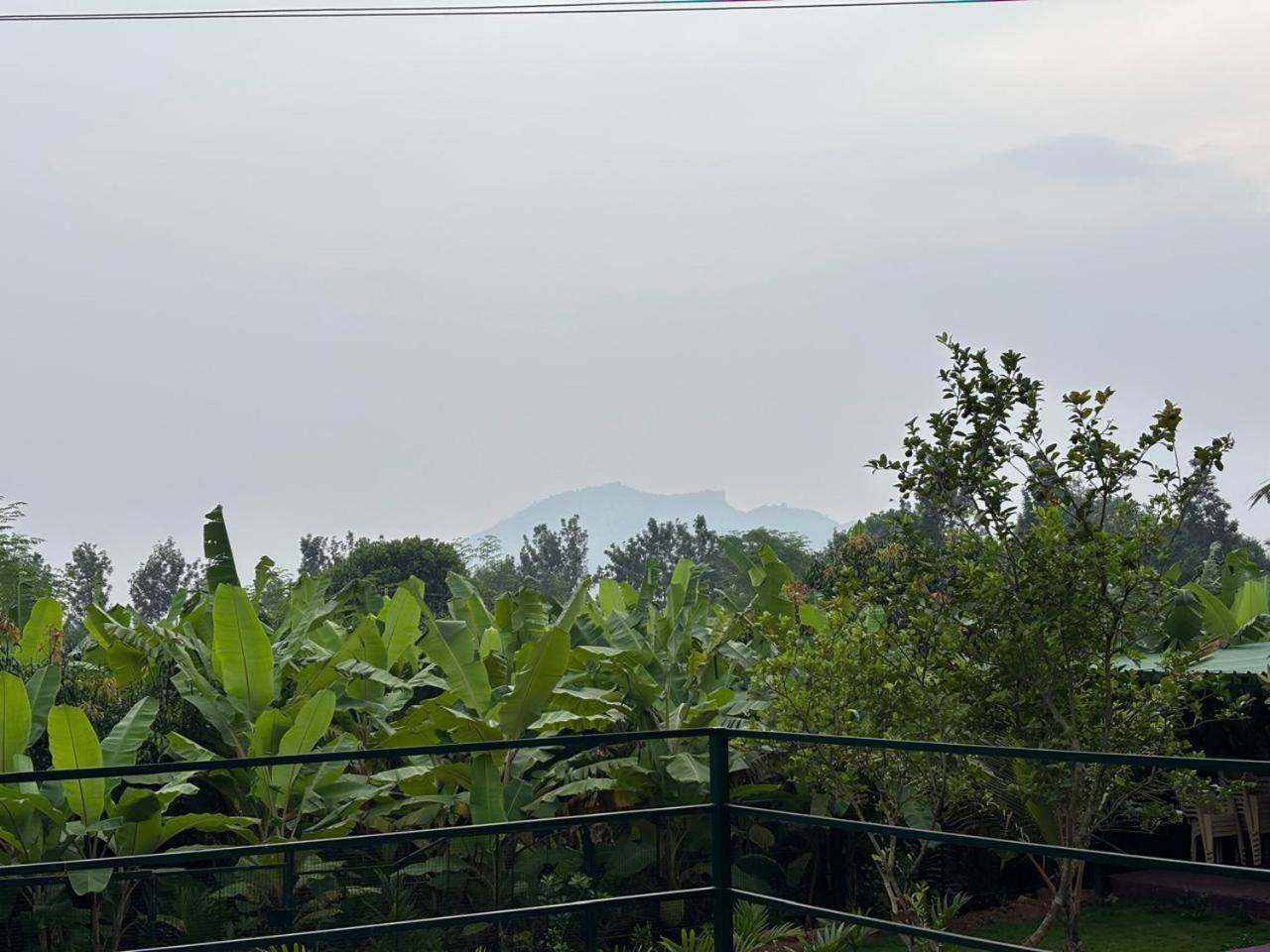 Villa Bilwa Retreat Eco & Sports *