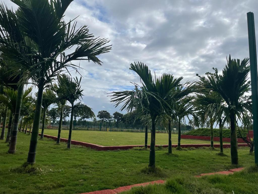 Bilwa Retreat Eco & Sports Villa Bangalore