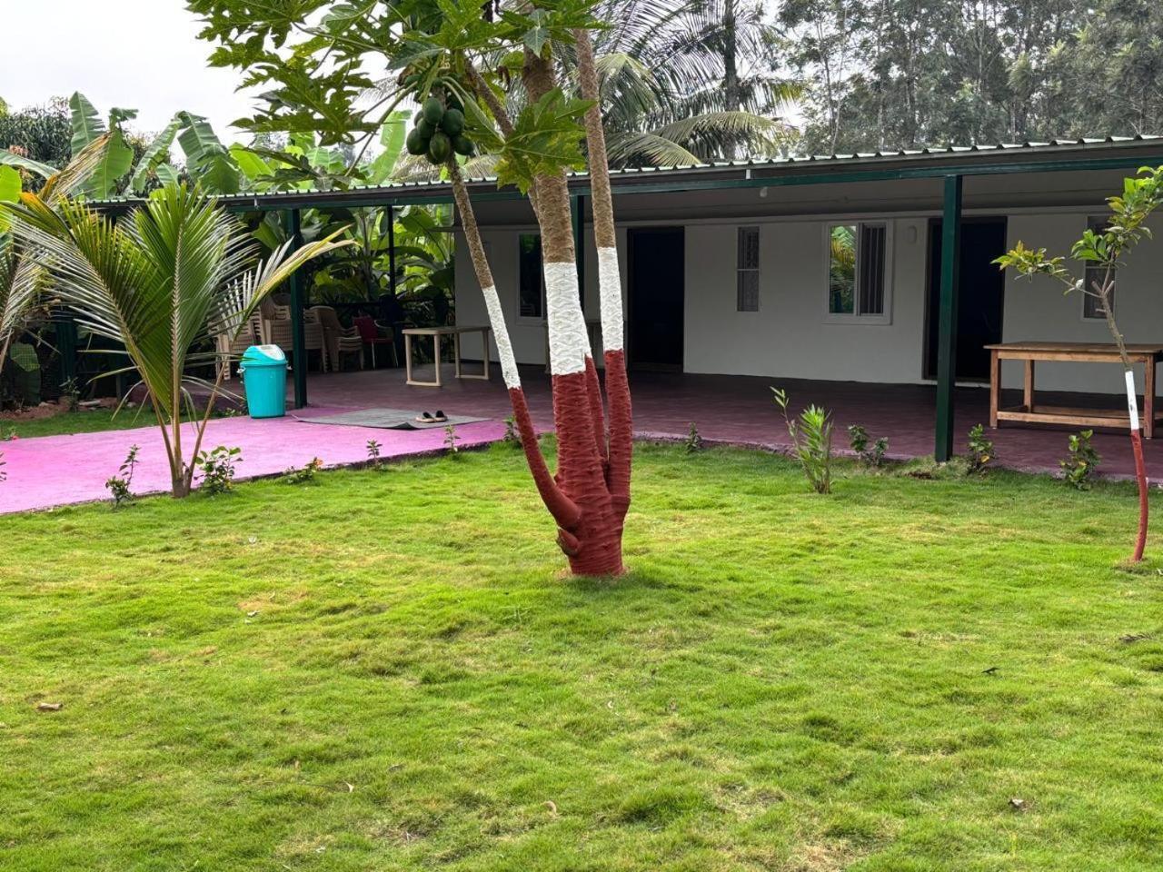 Bilwa Retreat Eco & Sports Villa *