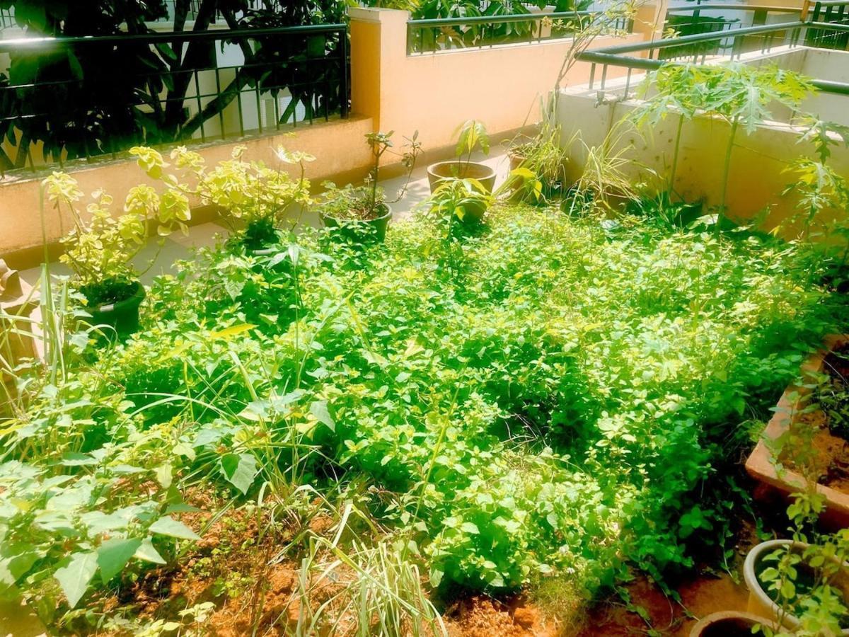 Amazistay Offers A Smart With Private Hot Jacuzzi Bangalore