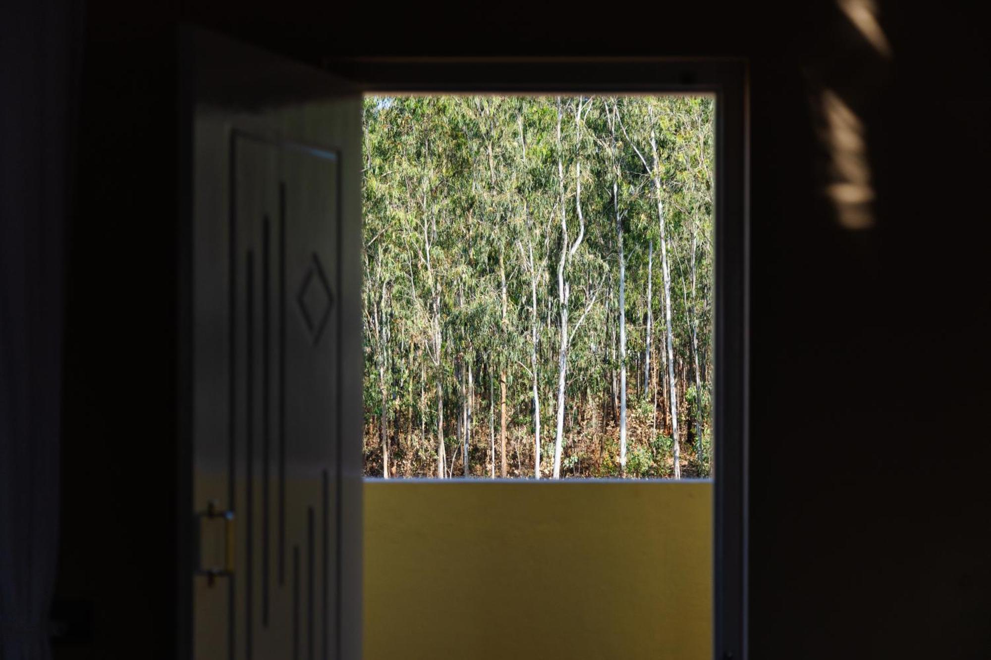 Villa Moonlight Manor- Luxury Escape Bangalore