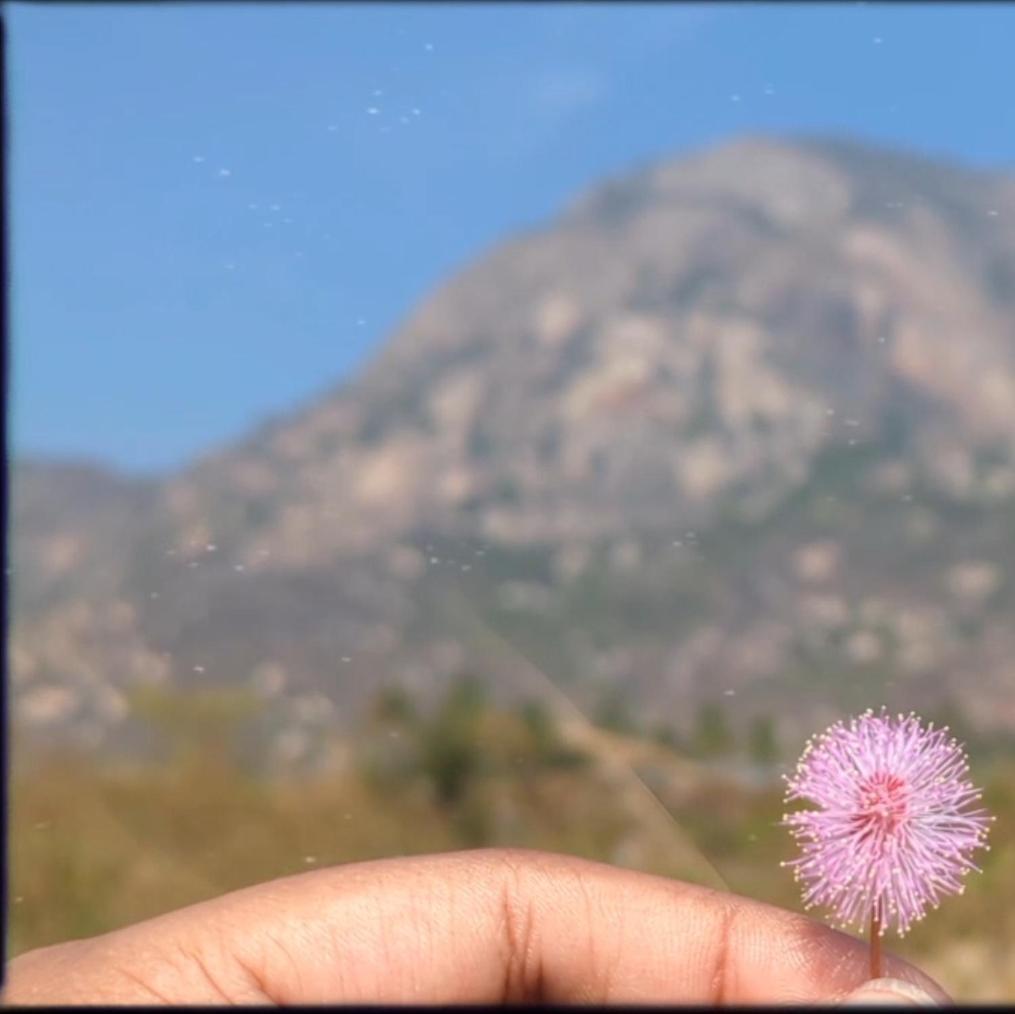 Near Nandi, Muddenahalli * Bangalore