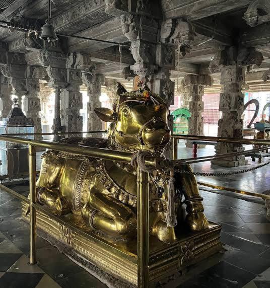Temple View Shivaya Namah