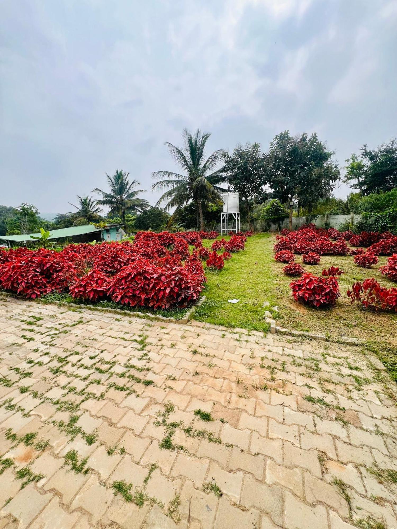 The Fairy Tale Farms * Bangalore