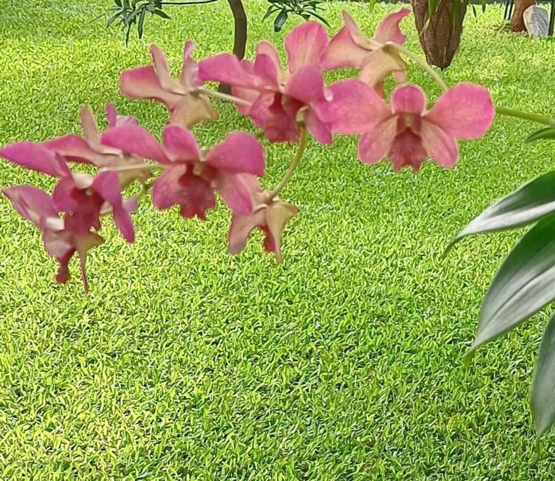 Satsa Hospitality Sarjapur Road Bed & Breakfast Bangalore