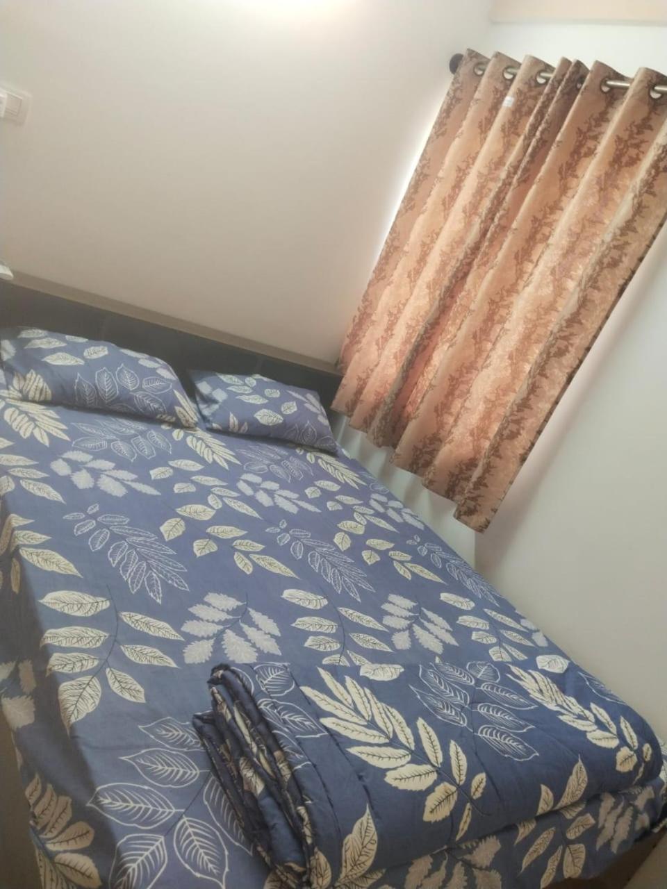 Apartment Pent House 2bhk Fully Furnished Near Old Wipro *