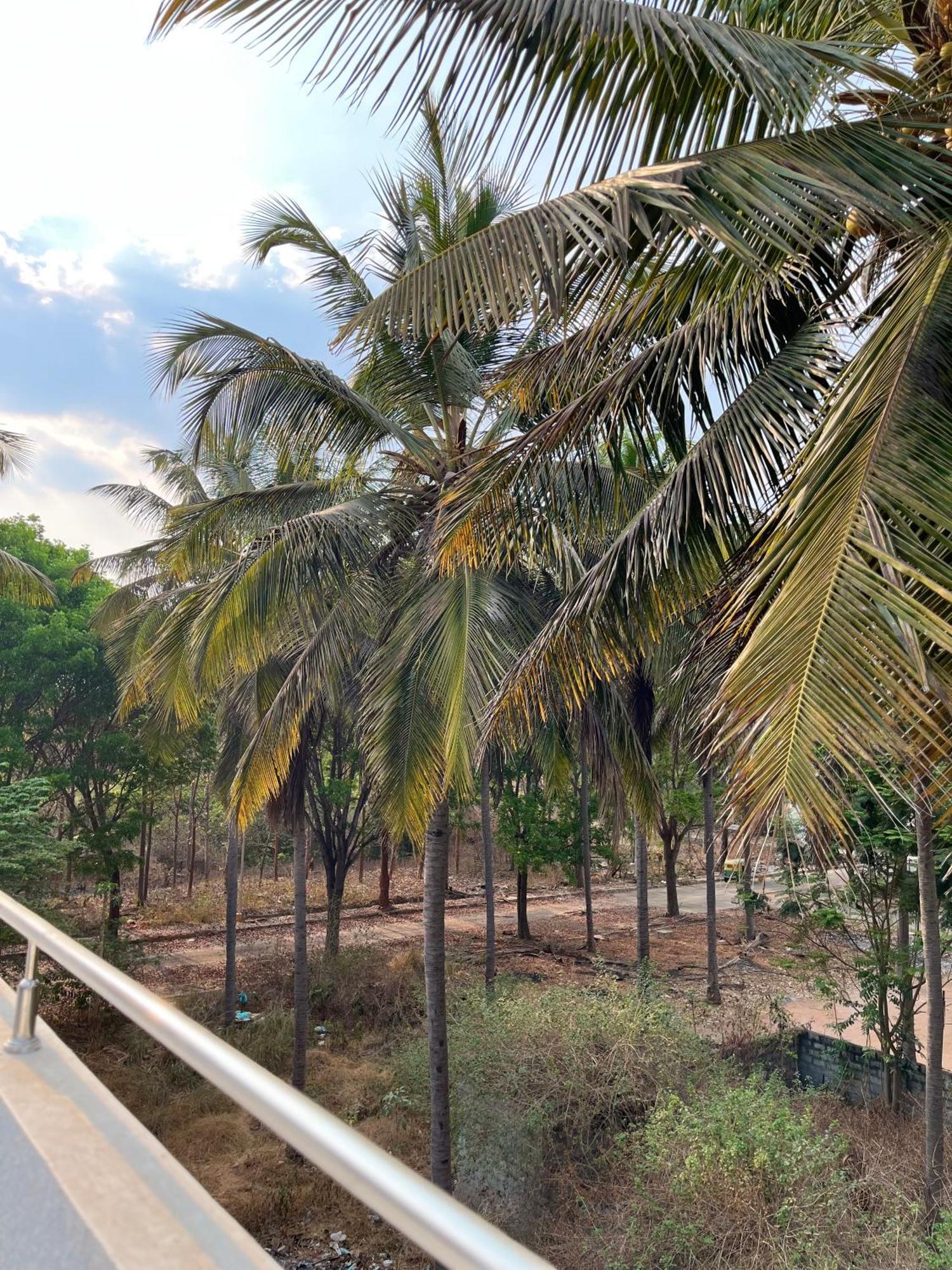 Ahika