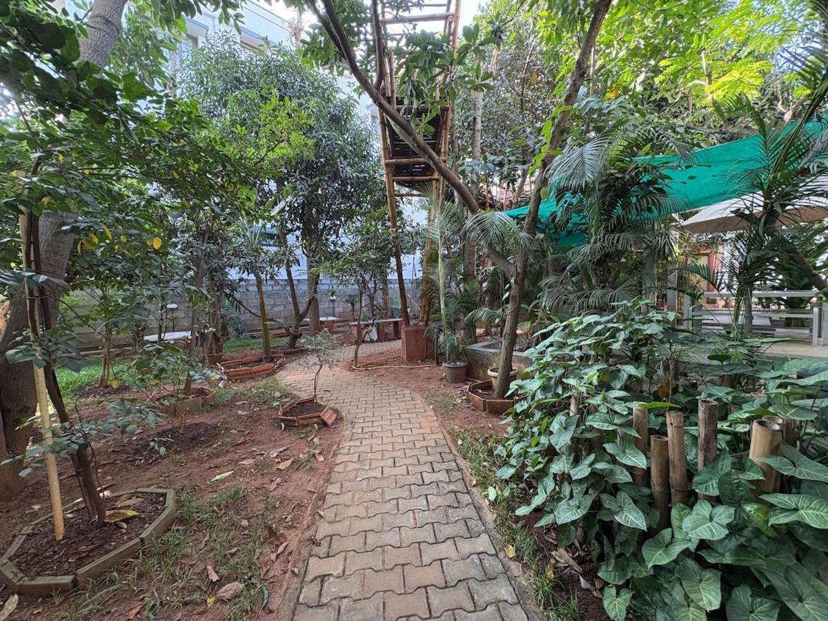 Garden Oasis Retreat * Bangalore