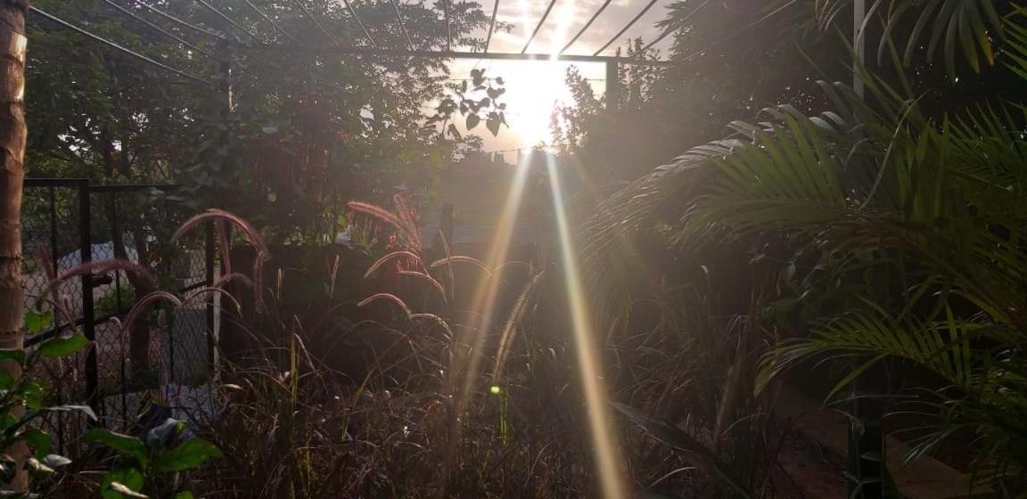 Malnad In Bangalore