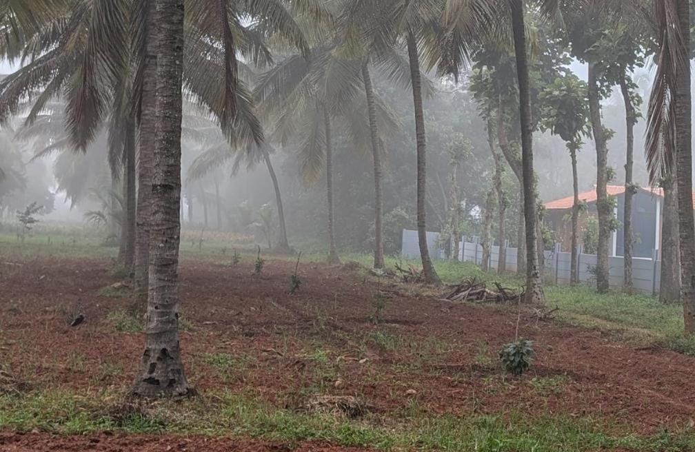 Eeshaavasya * Bangalore