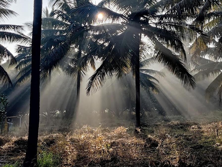 Eeshaavasya Bangalore